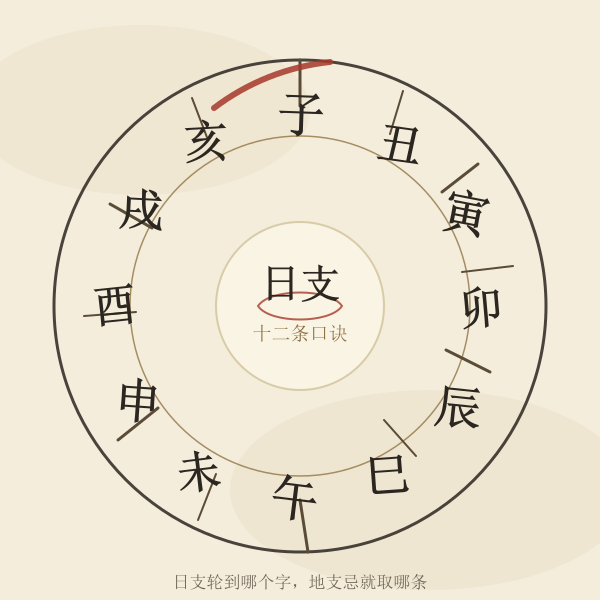 十二地支环形图